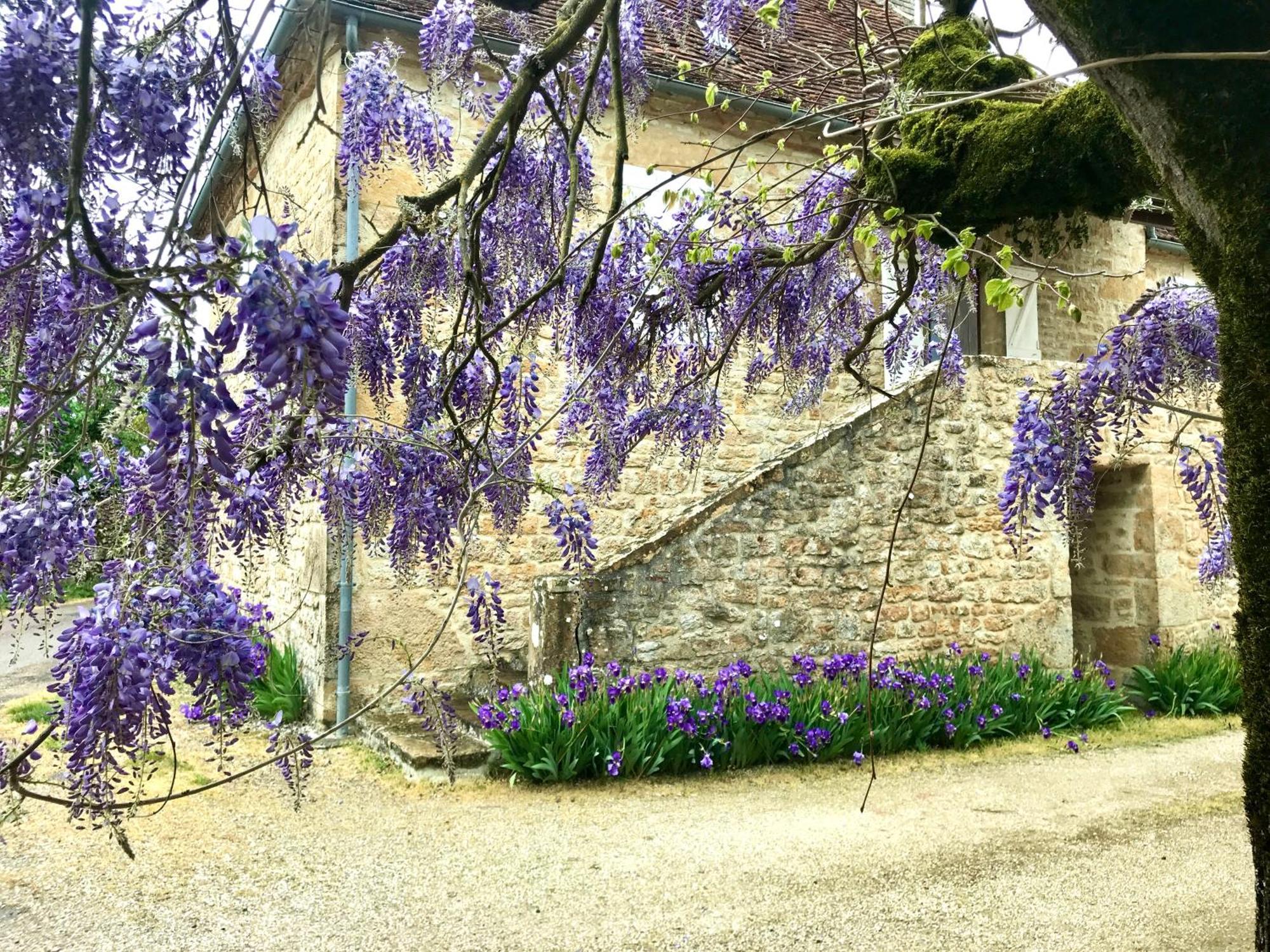 Bed and Breakfast Manoir De Rieuzal Loubressac Экстерьер фото