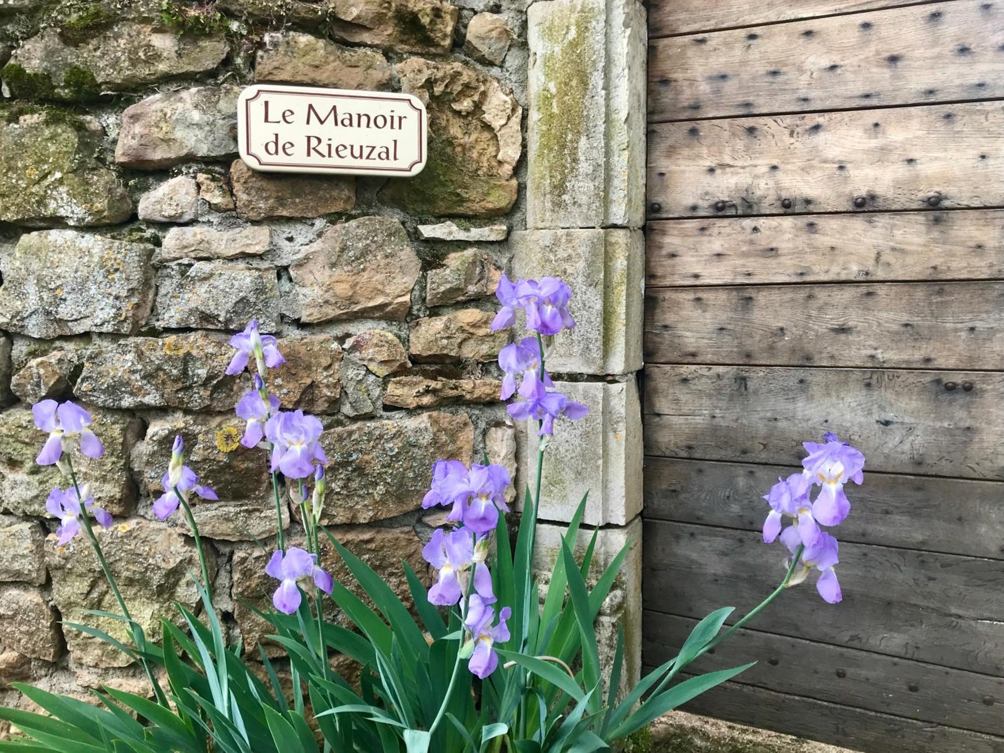 Bed and Breakfast Manoir De Rieuzal Loubressac Экстерьер фото