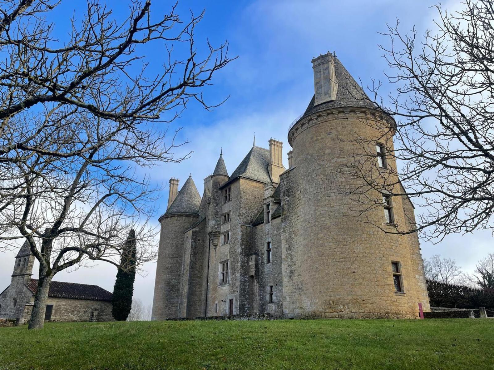 Bed and Breakfast Manoir De Rieuzal Loubressac Экстерьер фото
