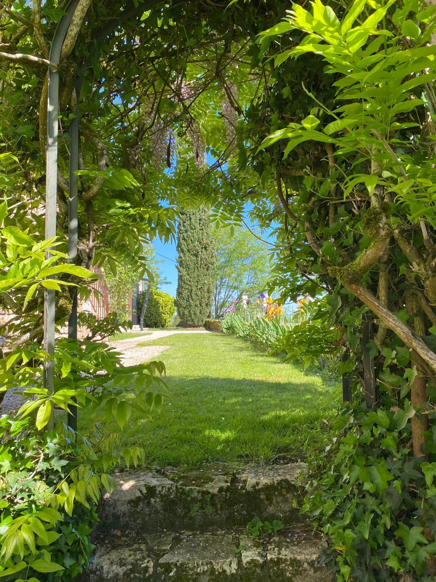 Bed and Breakfast Manoir De Rieuzal Loubressac Экстерьер фото