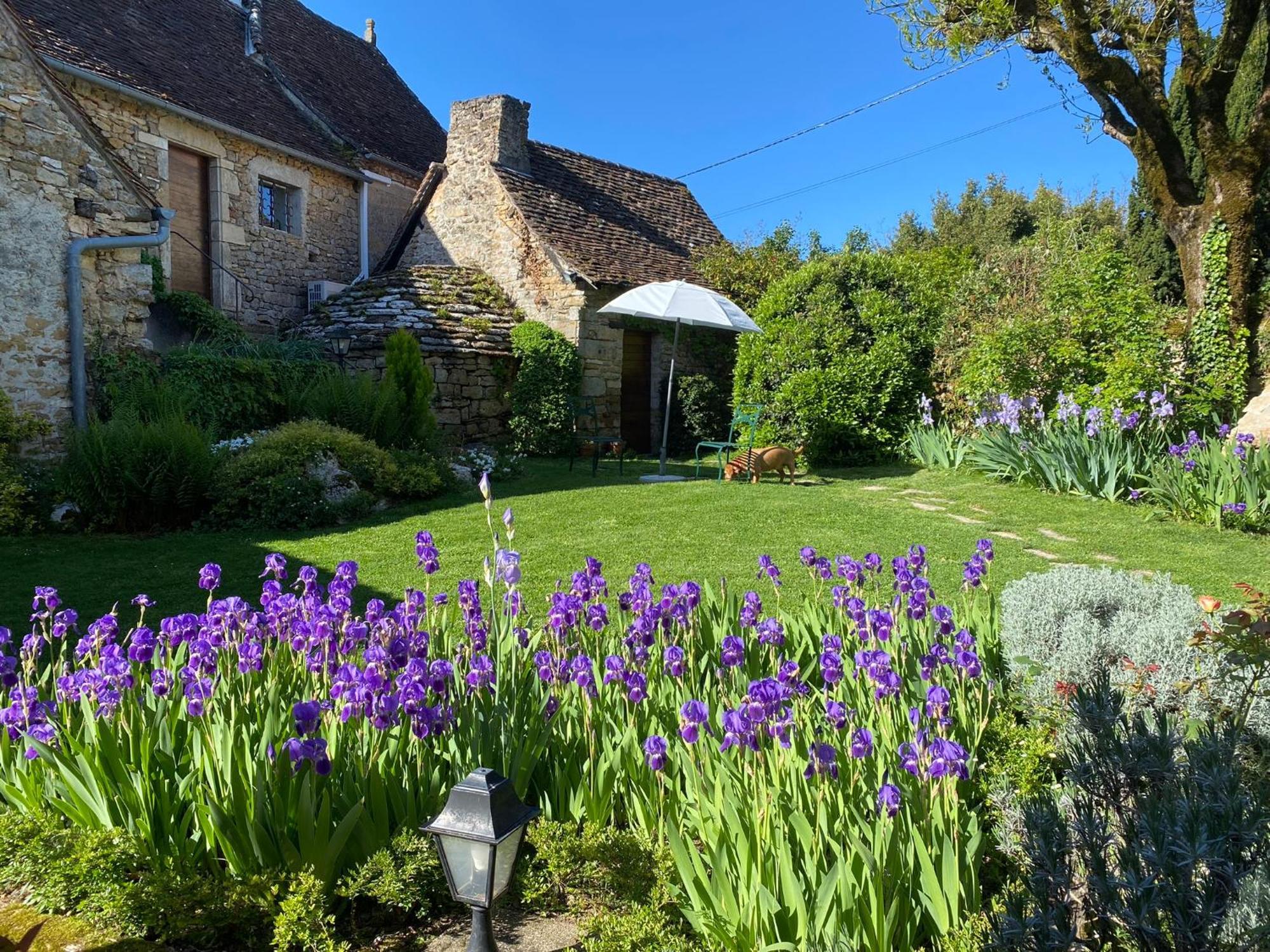 Bed and Breakfast Manoir De Rieuzal Loubressac Экстерьер фото