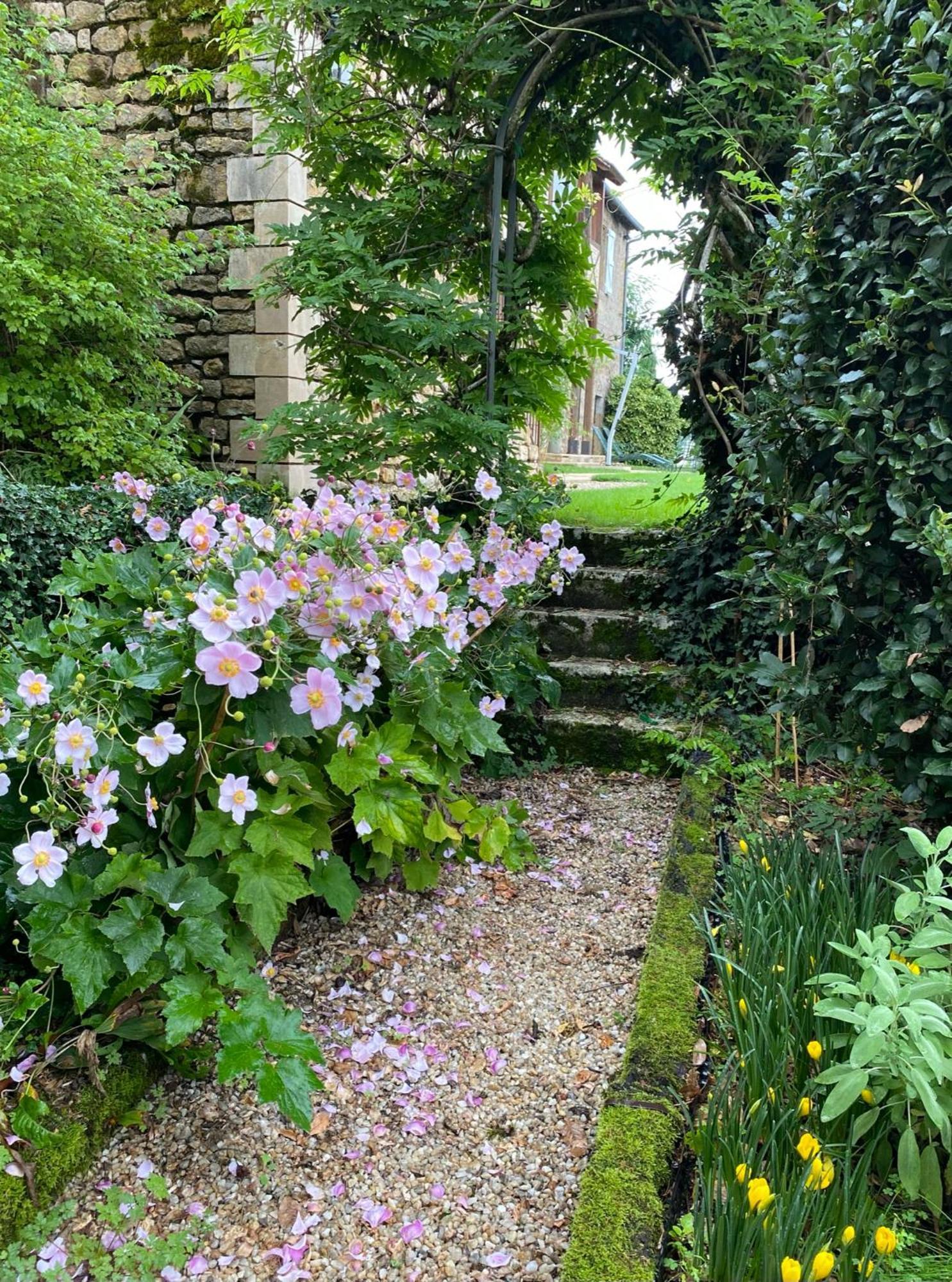Bed and Breakfast Manoir De Rieuzal Loubressac Экстерьер фото