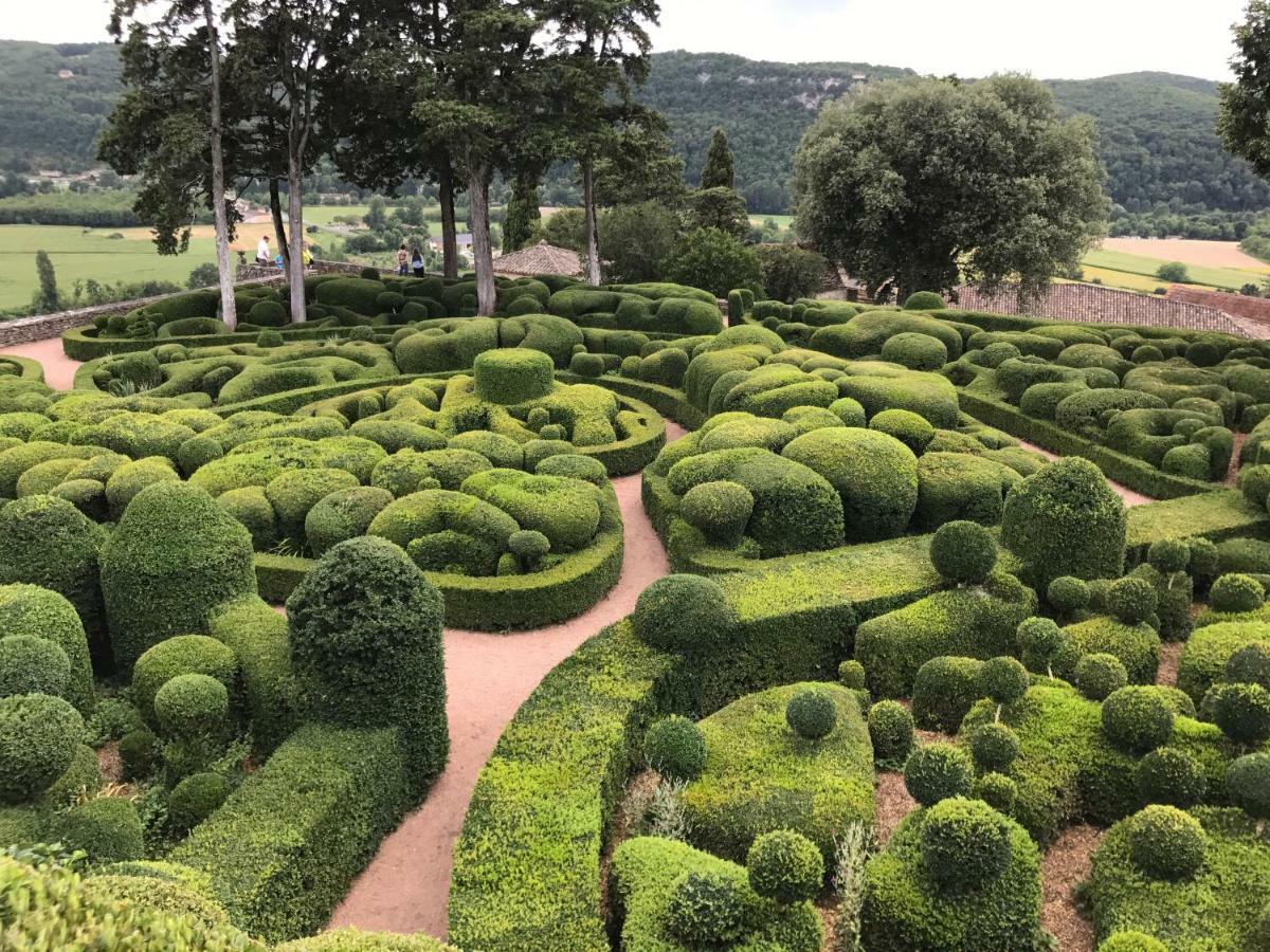 Bed and Breakfast Manoir De Rieuzal Loubressac Экстерьер фото